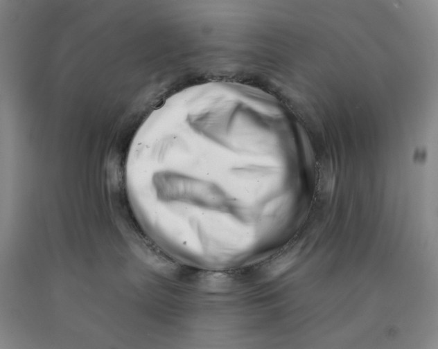 X0000089910287200707271721