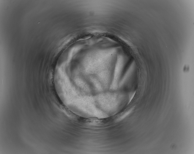 X0000089910288200707271721