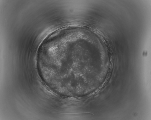 X0000089910290200707271720