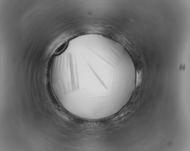 X0000089910291200707271720