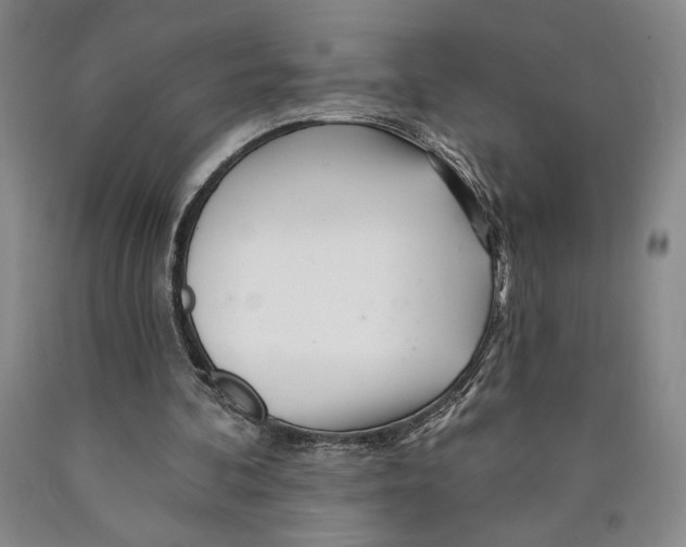 X0000089910292200707271720