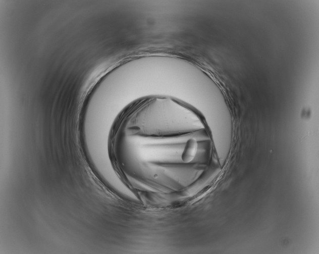 X0000089910293200707271720