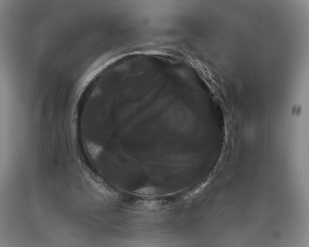 X0000089910295200707271720