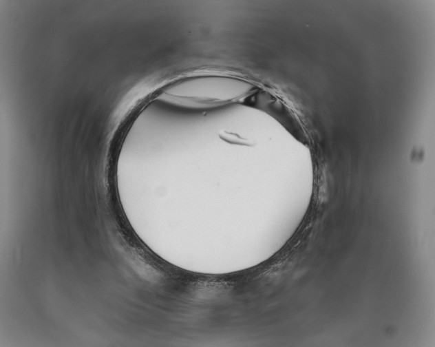 X0000089910296200707271720