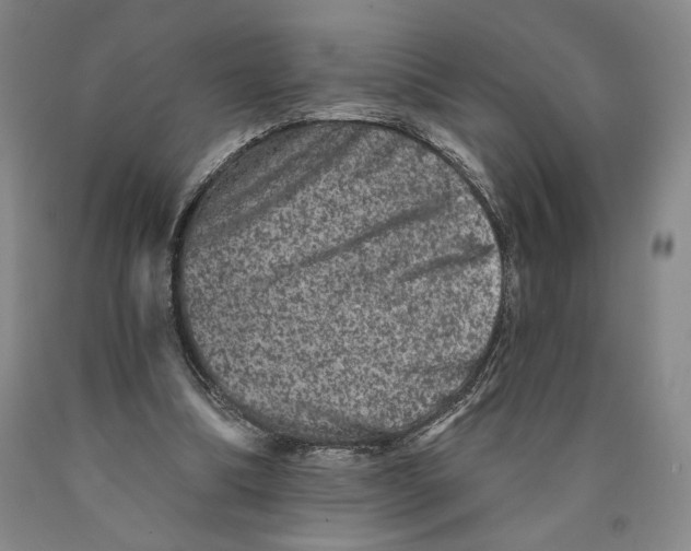 X0000089910298200707271720