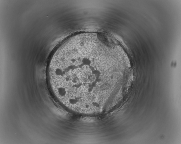 X0000089910299200707271720