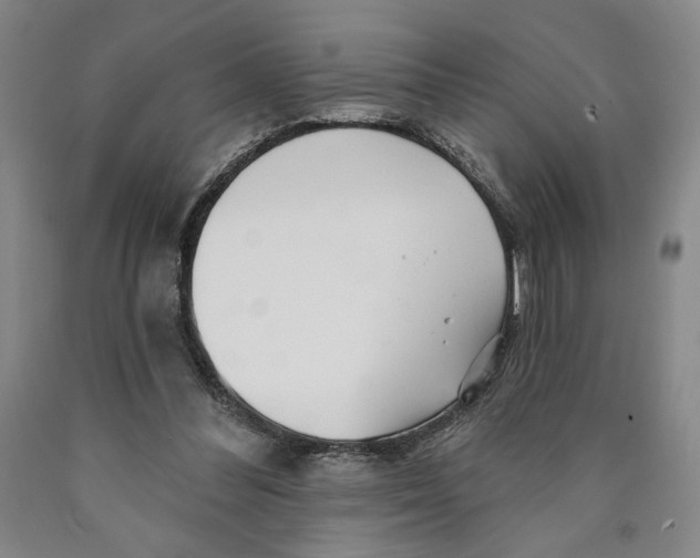 X0000089910300200707271720