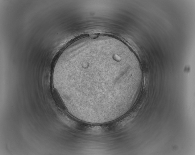 X0000089910301200707271720