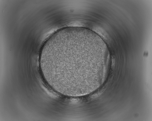 X0000089910302200707271720