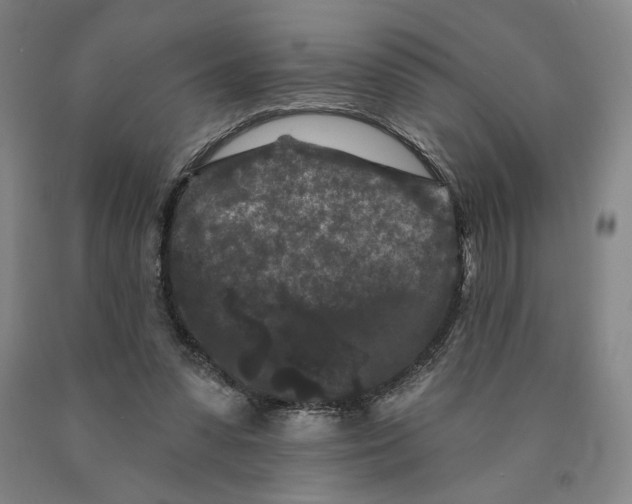 X0000089910303200707271720