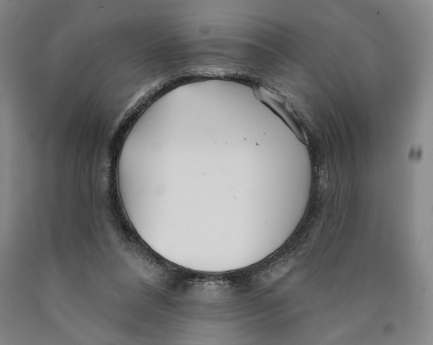 X0000089910304200707271720