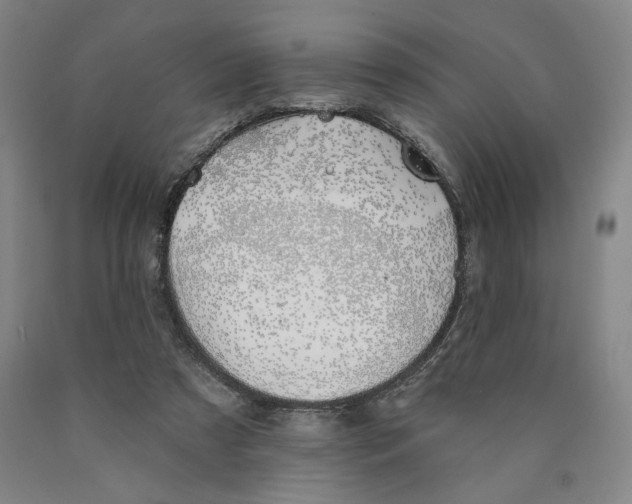 X0000089910305200707271720