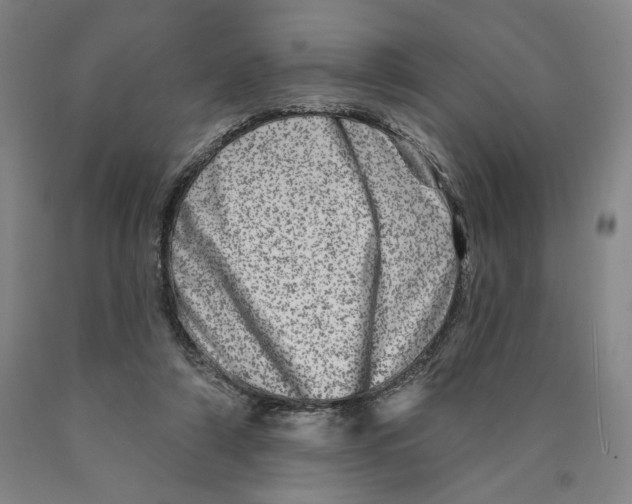 X0000089910306200707271720