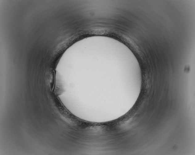 X0000089910307200707271720