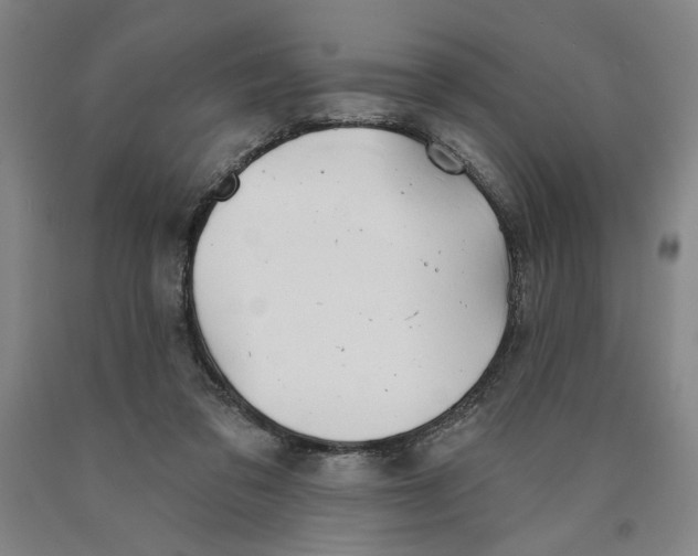 X0000089910309200707271720