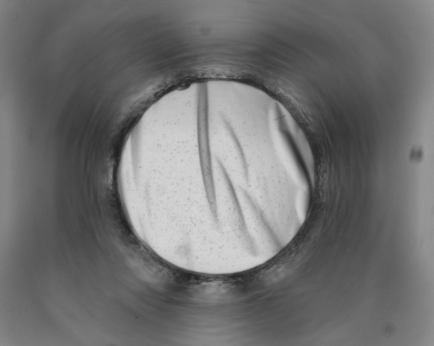 X0000089910310200707271720