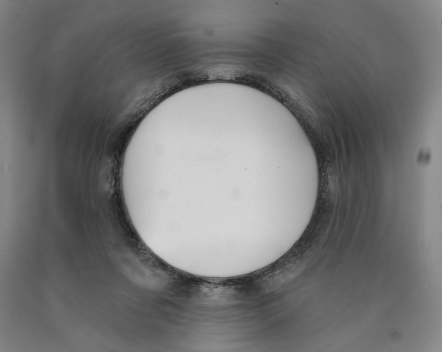 X0000089910311200707271720