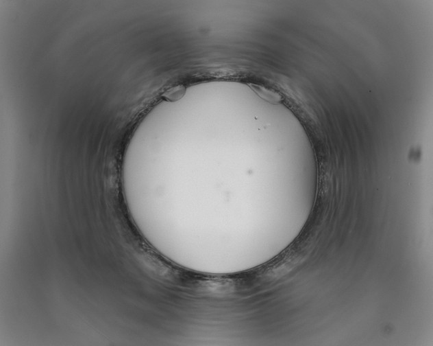 X0000089910317200707271720