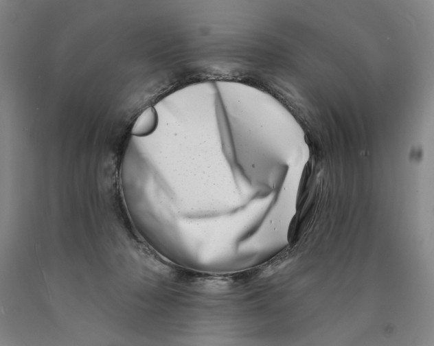 X0000089910318200707271720