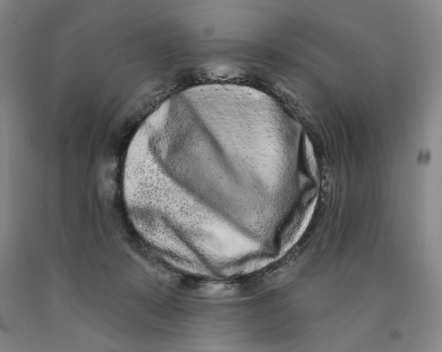 X0000089910319200707271720