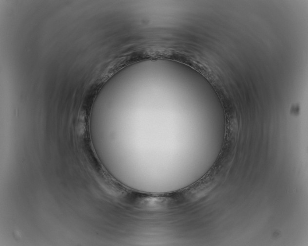 X0000089910323200707271720