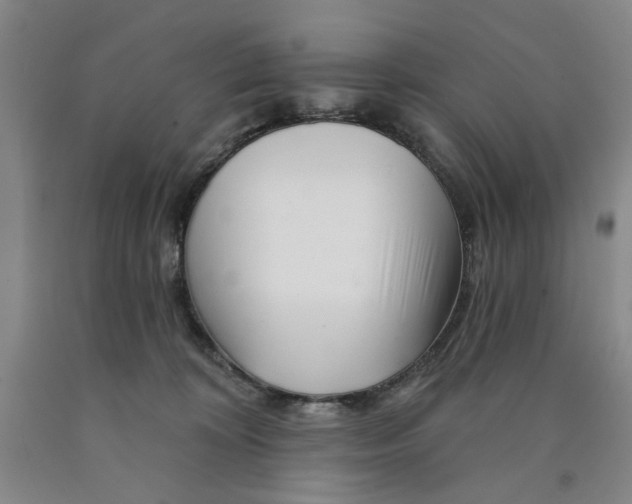 X0000089910324200707271720