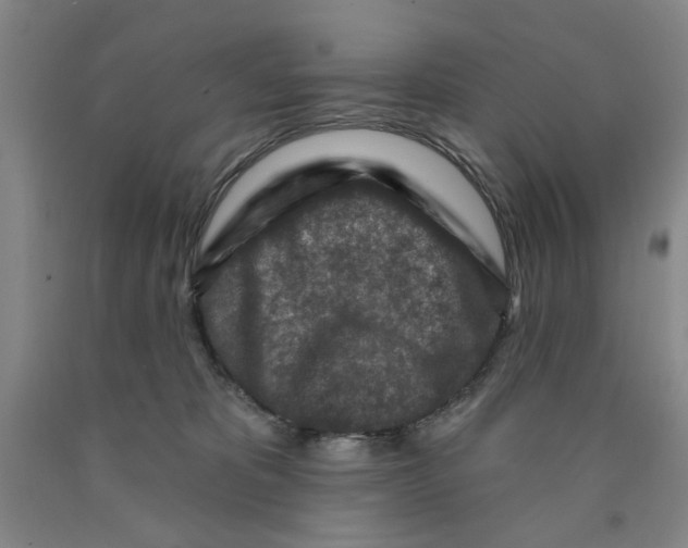 X0000089910325200707271720