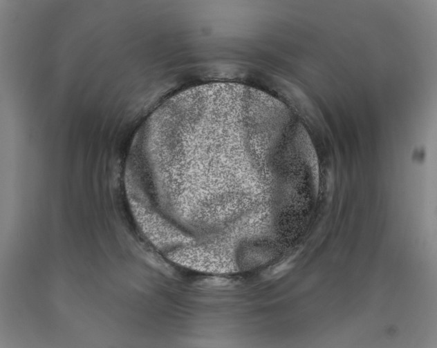 X0000089910326200707271720