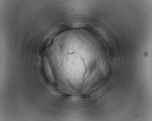 X0000089910327200707271720