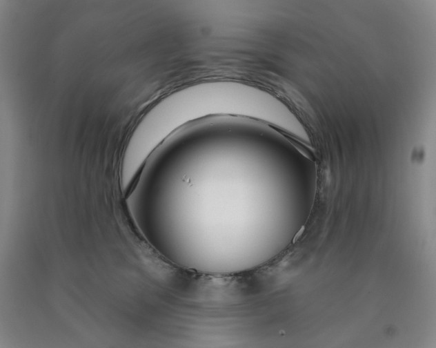 X0000089910329200707271720