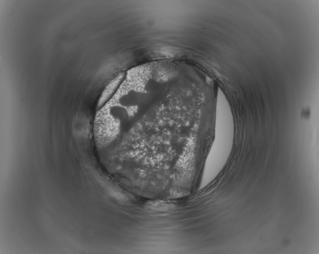 X0000089910331200707271720