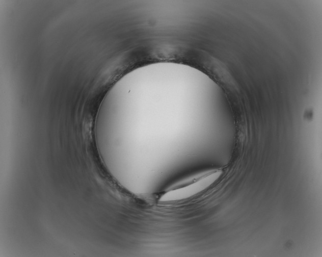 X0000089910332200707271720