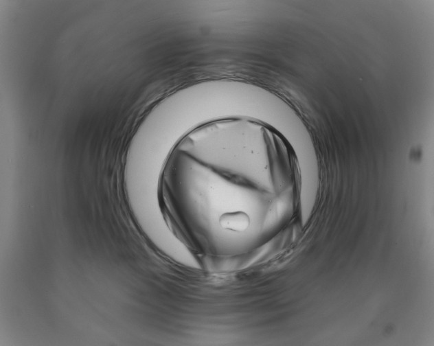 X0000089910333200707271720