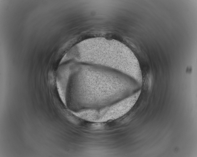 X0000089910335200707271720