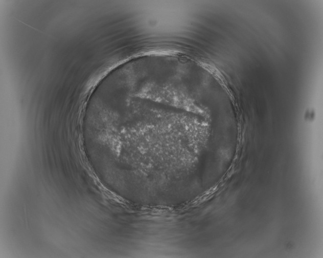 X0000089910337200707271719