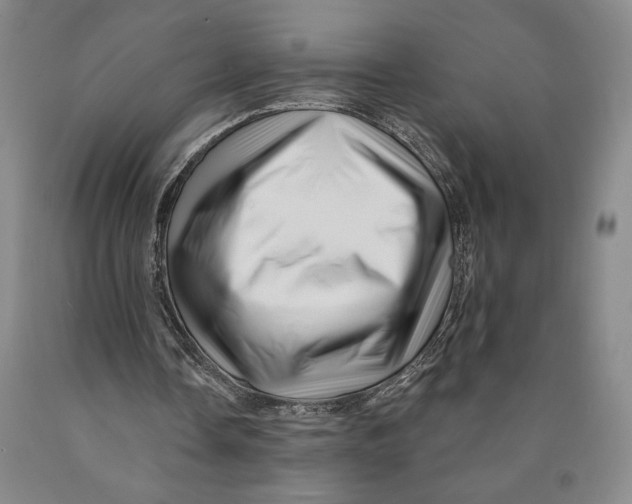 X0000089910338200707271719