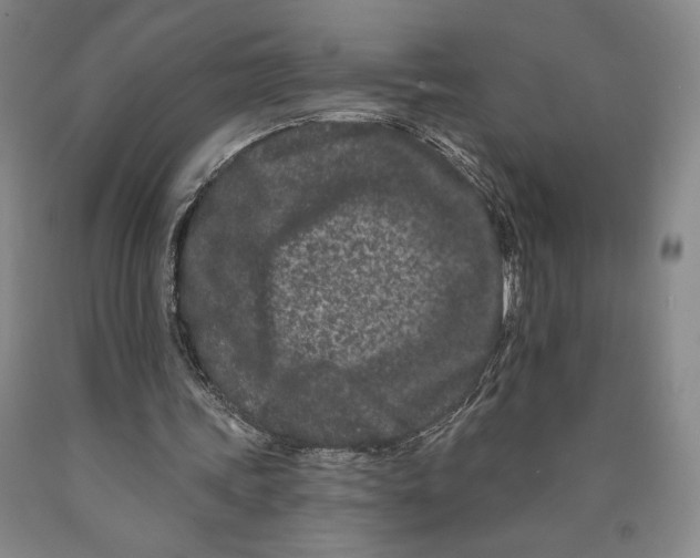 X0000089910339200707271719