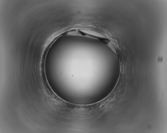 X0000089910340200707271719