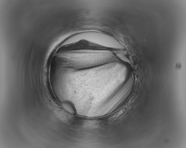 X0000089910342200707271719