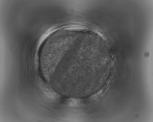 X0000089910343200707271719