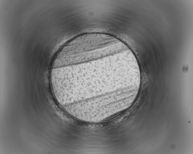 X0000089910345200707271719