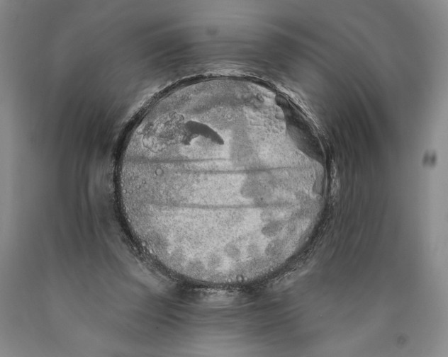 X0000089910347200707271719