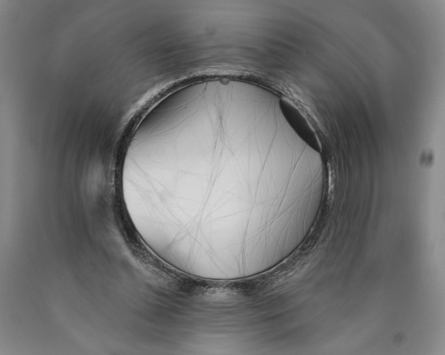 X0000089910348200707271719