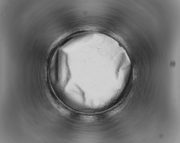 X0000089910349200707271719