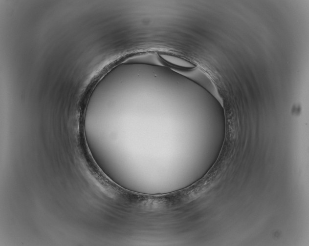 X0000089910350200707271719