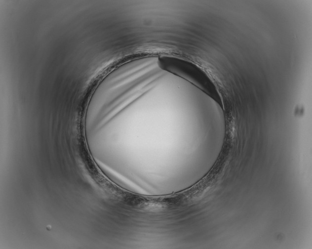 X0000089910352200707271719