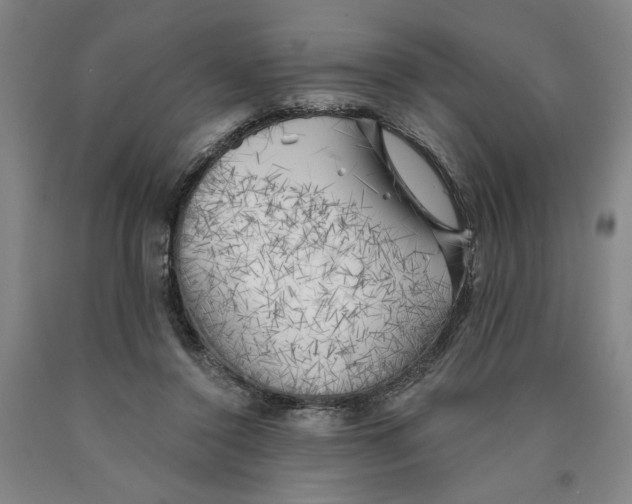 X0000089910356200707271719