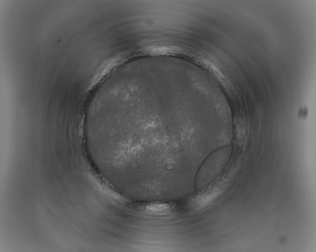 X0000089910357200707271719