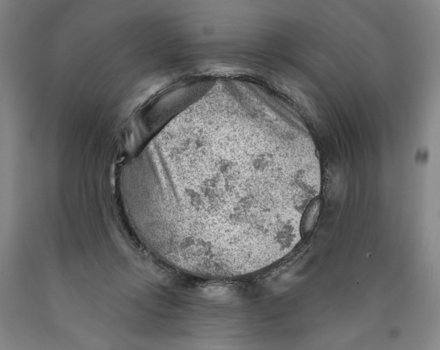 X0000089910358200707271719