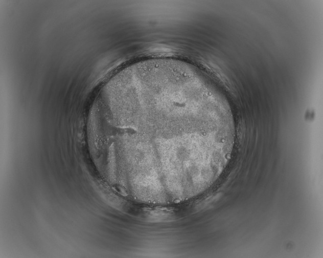 X0000089910359200707271719